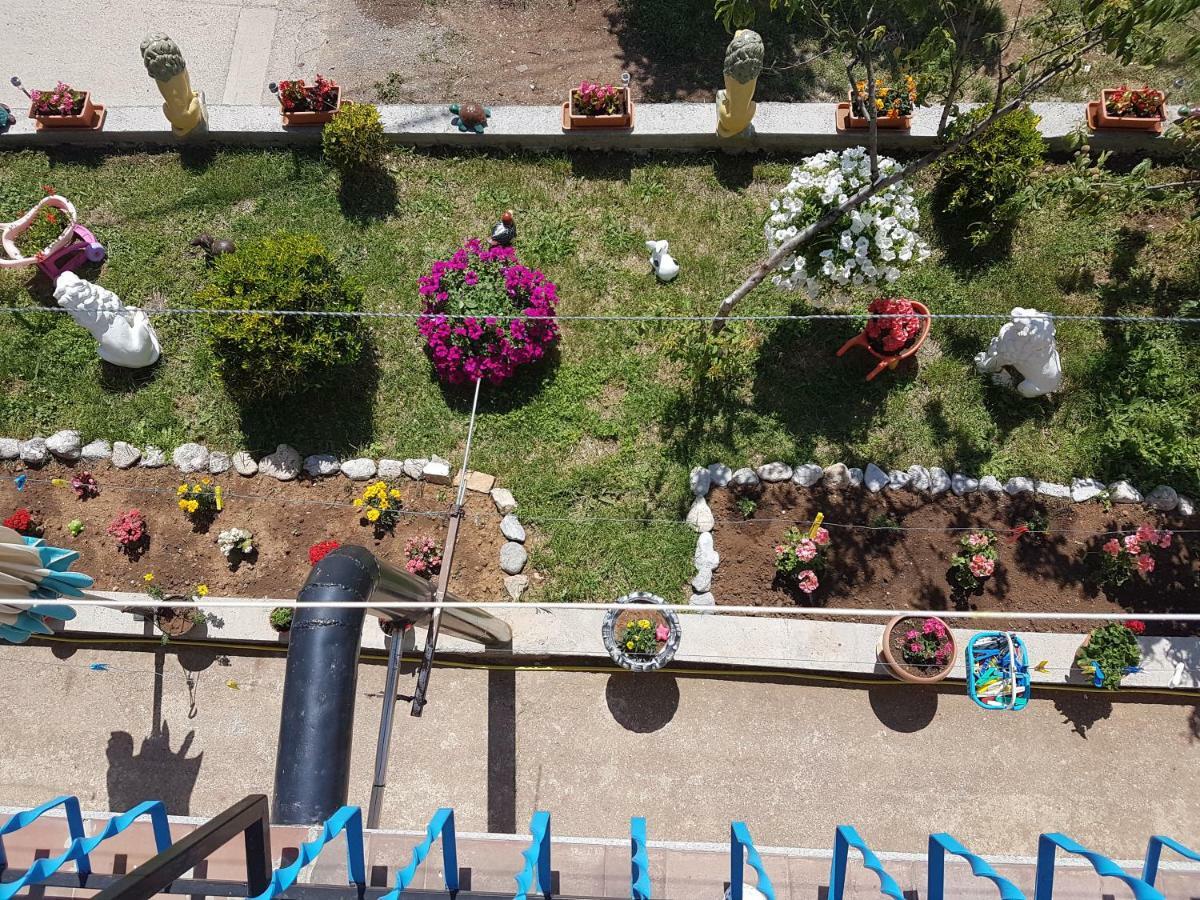 Apartment Danijela เซนญ์ ภายนอก รูปภาพ